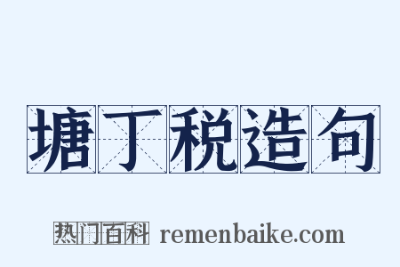 塘丁税造句是什么意思的图片